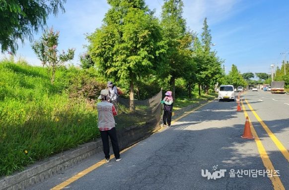 포항시는 여름 휴가철을 맞아 안전하고 쾌적한 가로경관 제공을 위해 지난 15일부터 녹지시설 정비를 시행하고 있다.