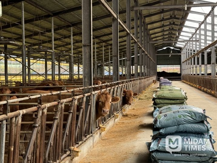 포항시는 지역 내 모든 농가를 대상으로 배합사료 구입비 지원 신청을 받고 있다.