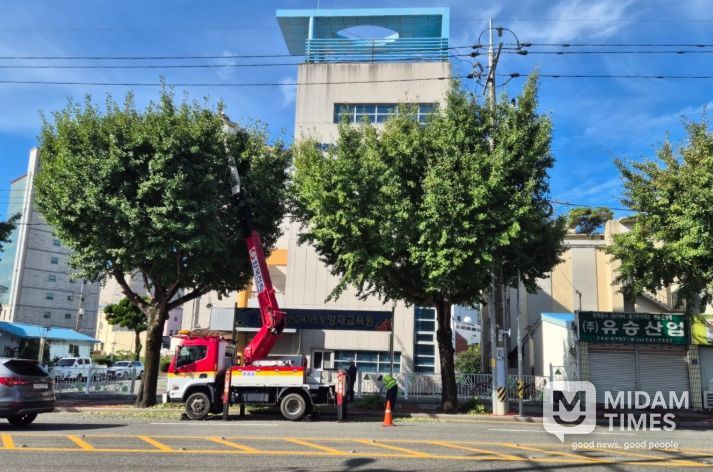 가로수 합동 전정 작업’으로 안전 강화