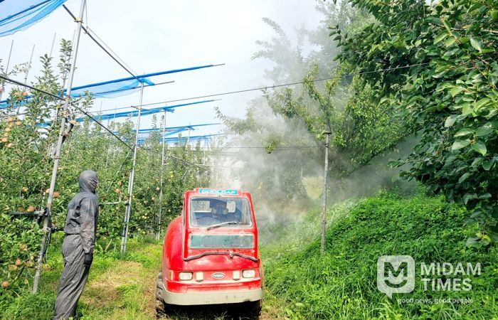 병해충 방제 사진