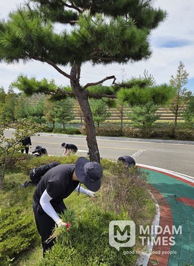 경주하늘마루, 추석맞이 화장장 진입도로 환경정비