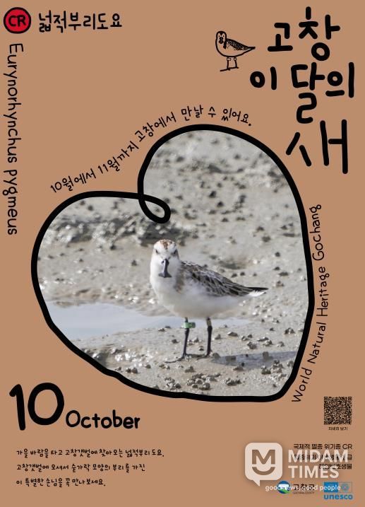 고창군, ‘넓적부리도요’ 10월 고창갯벌 이달의 새로 선정