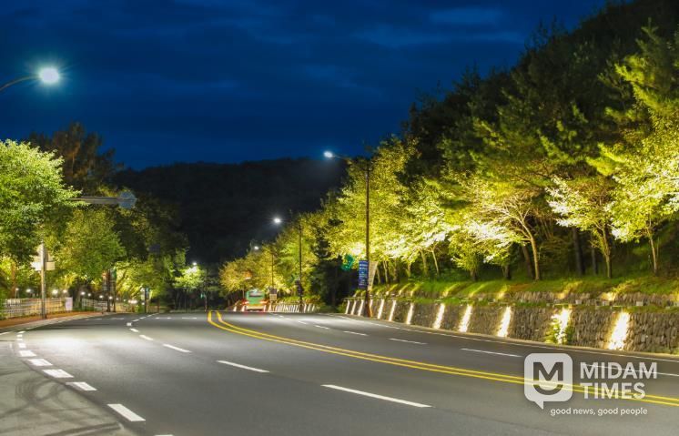 APEC 정상회의 대비 도로경관 정비