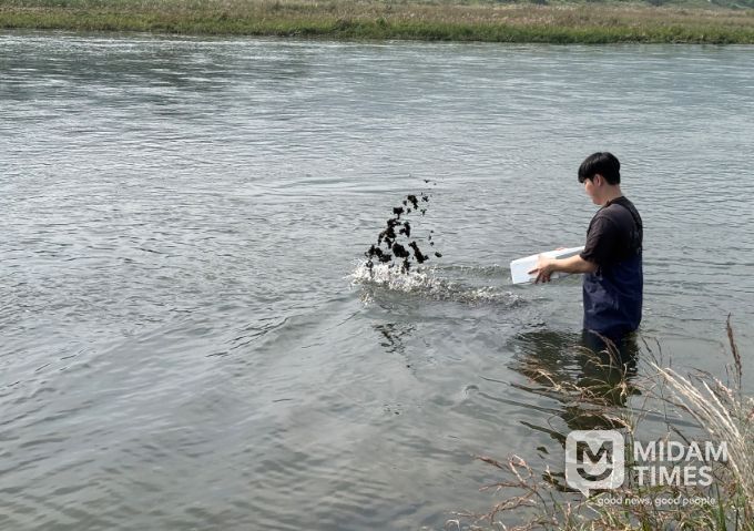 다슬기 치패 140만 3천 패 방류