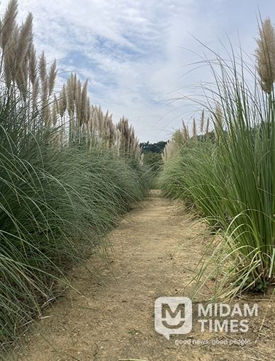 카페정원‘소오소오’ 울산 제9호 민간정원으로 등록