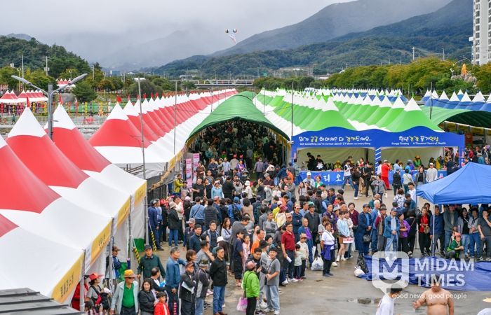 2025경북영주 풍기인삼축제 & 영주장날 농특산물대축제 개막