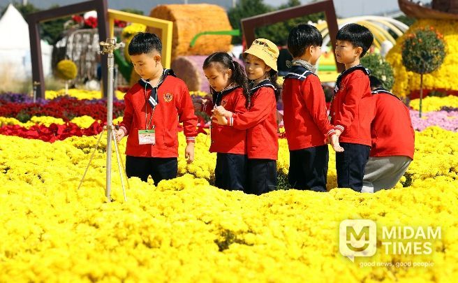제10회 강진만 춤추는 갈대축제