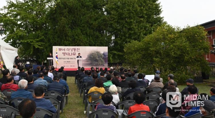 부여 석성동헌 탱자나무 천연기념물 지정 1주년 기념행사