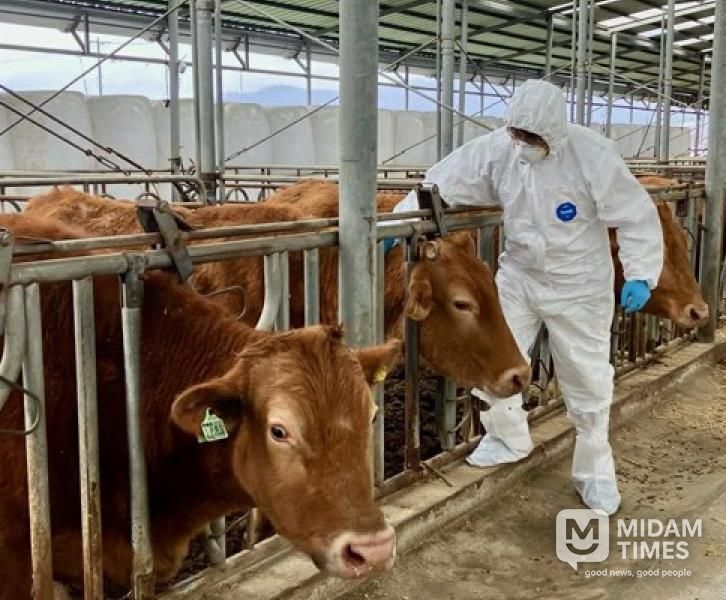 보은군, 구제역‧AI‧아프리카돼지열병 총력 방역체제 돌입