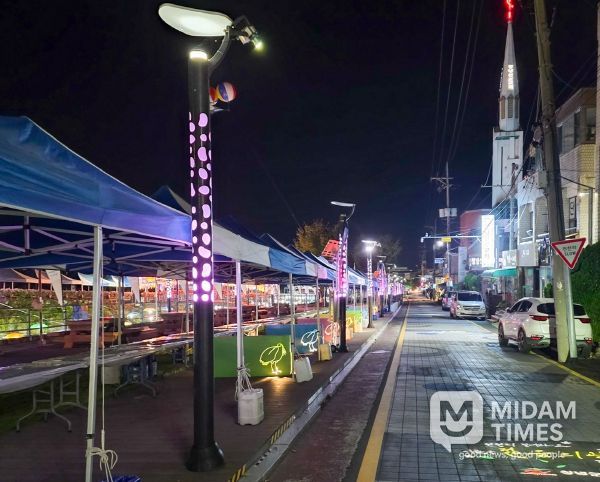 창녕군, 제39회 비사벌문화제 대비 가로등·보안등 야간 점검 실시