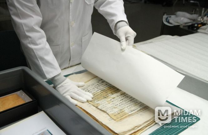 무료 훈증소독 사진 및 서비스