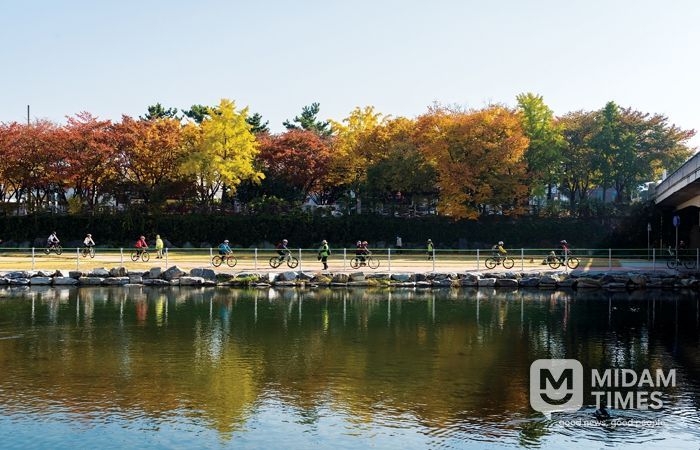 단풍과 함께 달리는 대구 힐링 라이딩 코스 7선!