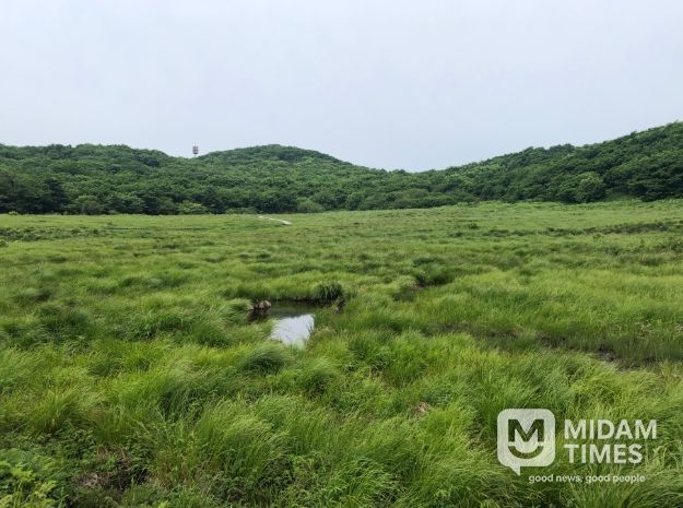 (북부지방산림청) 강원 인제 대암산 용늪 산림유전자원보호구역