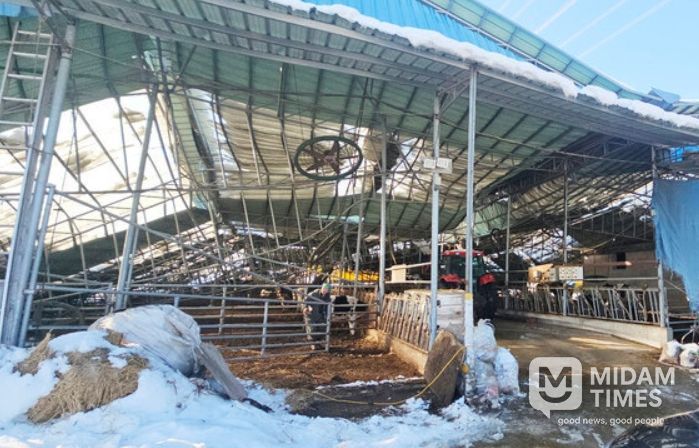 겨울철 재해 대비 농·축산시설 점검