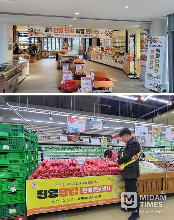 김해시, 진영단감 온·오프라인 판촉행사 개최