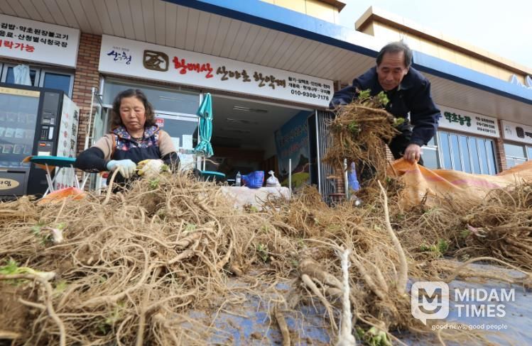 산청군, 동의보감촌 약초 판매장터 운영