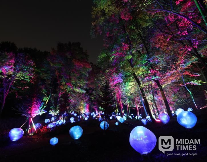 형형색색의 복사꽃 씨앗이 빛나는 도화씨 구간 전경