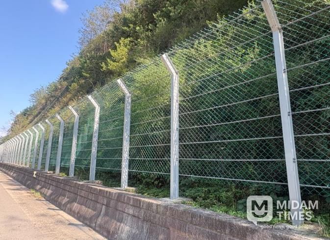 산청군, 풀베기·덩굴제거 사업 마무리