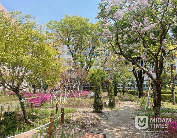 경북여고 학교숲