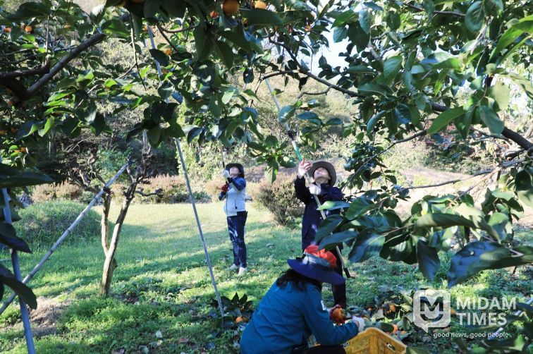 함양군 2025 하반기 농촌일손돕기