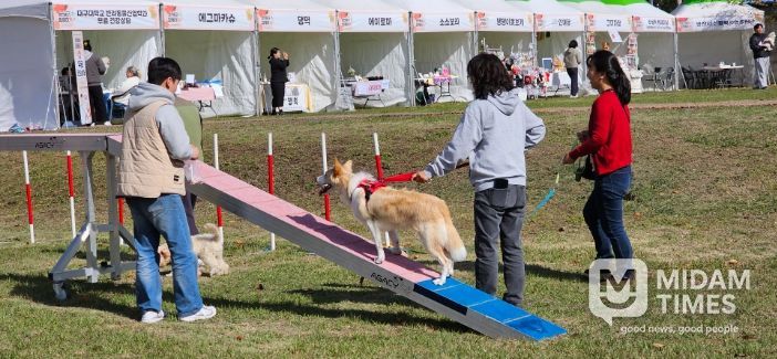 지난 1일 열린 ‘영천에서 함께하개’ 반려문화 체험행사
