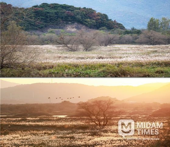 화포 조명훈 사진가