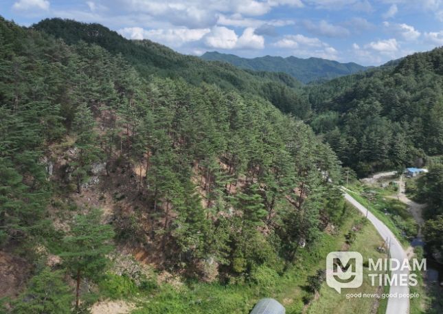 2025년 숲가꾸기 우수 사업지 '우수' 선정