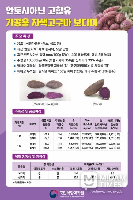 가공용 자색고구마 ‘보다미’ 품종 특성