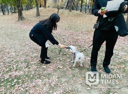 김해시, 동물 미등록 집중 단속 추진
