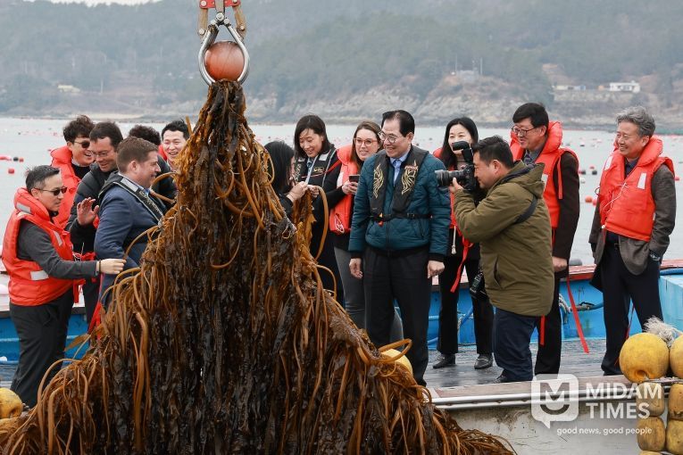 사진은 미 에너지부 산하기관 에너지 고등 계획원(ARPA-E) 관계자 완도군 해조류(미역) 양식장을 방문한 모습