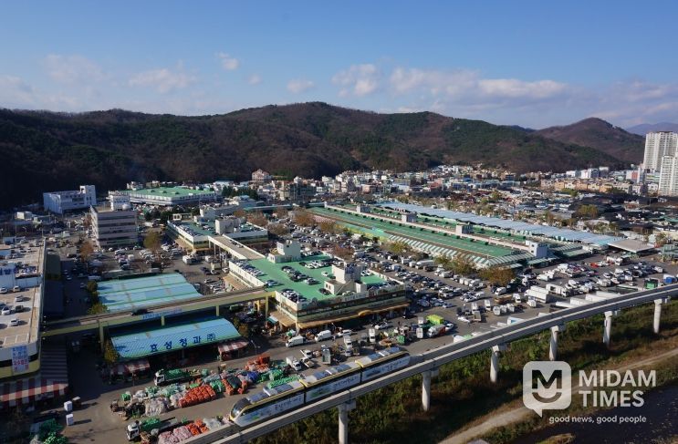 대구농수산물도매시장