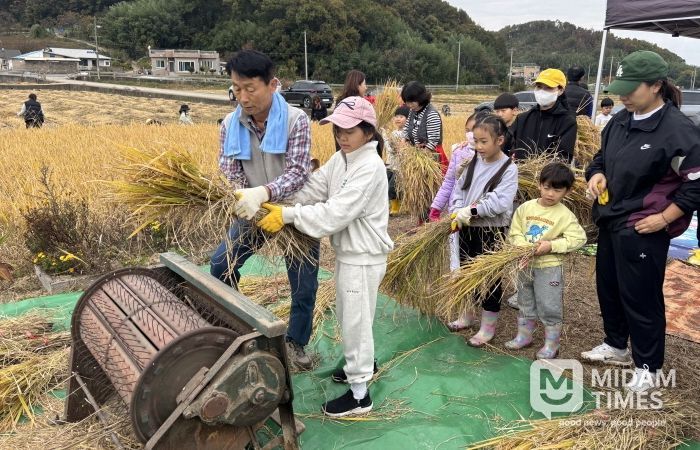 포항시는 지난 8일 남구 대송면 장동리 일원에서 ‘어린이농부학교 벼 수확 체험 교육’을 진행했다.