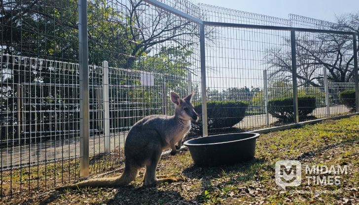 진주시 진양호동물원