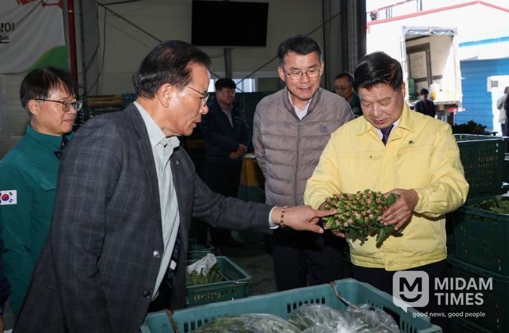 고성군수, 겨울철 효자품목 ‘시금치’ 경매 현장 방문