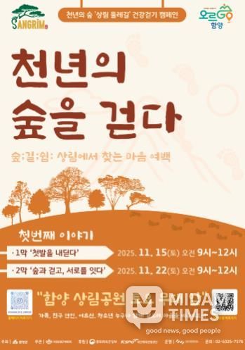 천년의 숲, 걷기와 문화가 만나다