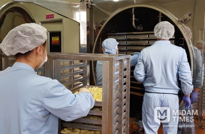 농산물종합가공센터 동결건조작업