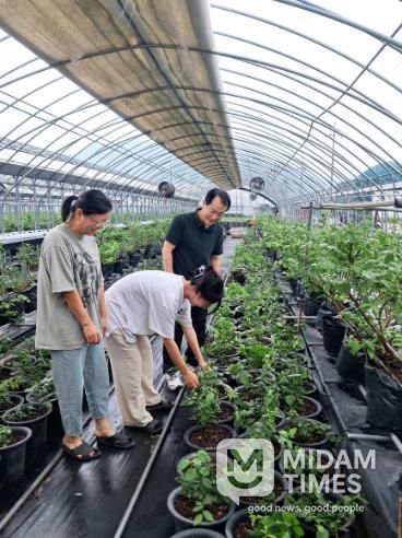 김해시, 퇴직공무원 멘토링 청년 창업농 정착 도와