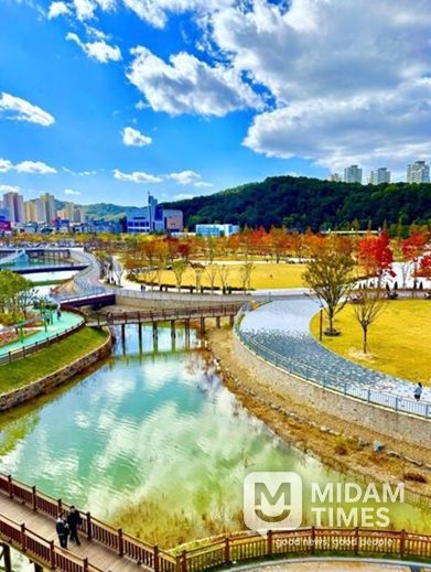 단풍따라 대전 한 바퀴… 어디를 가도 인생샷 명소