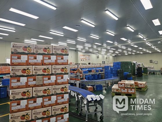 김해시 진영단감, 농수산물 온라인도매시장 특화상품 선정