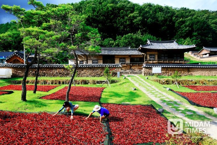 영양군, 작지만 강한 부자 농촌으로