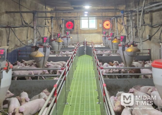 겨울철 축사화재 예방 대응체계 가동