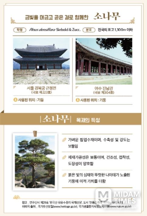 간행물 '이木저木 목재문화유산' 내지 목재문화유산 속 소나무