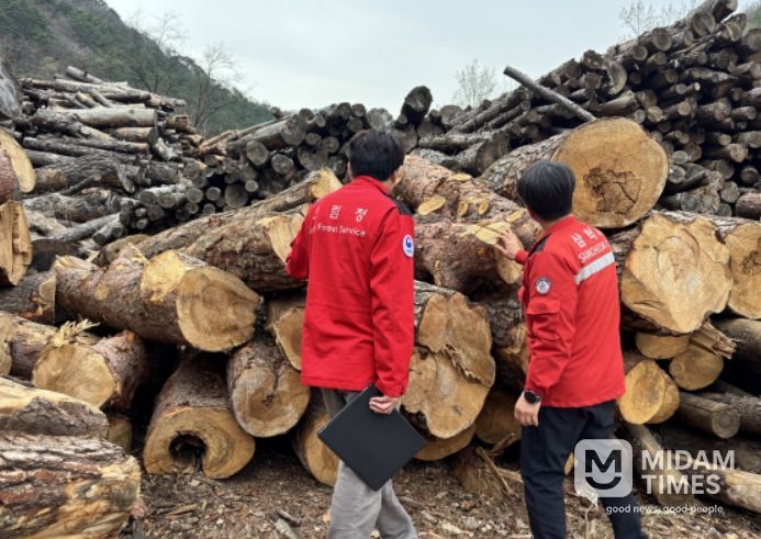 소나무류 이동 특별단속