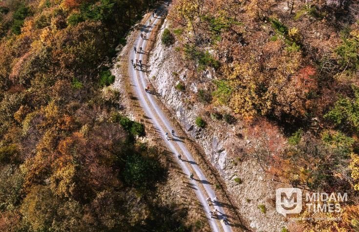 남해군, ‘2025년 보물숲 등반대회’ 성료