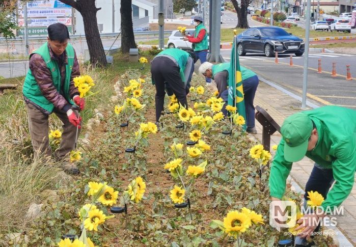 새마을꽃동산 조명 설치