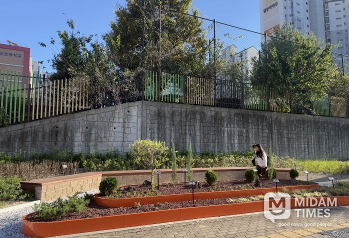 자녀안심 그린숲 조성(포산초등학교 인근에 조성된 그린숲을 따라 등교하는 학생들)