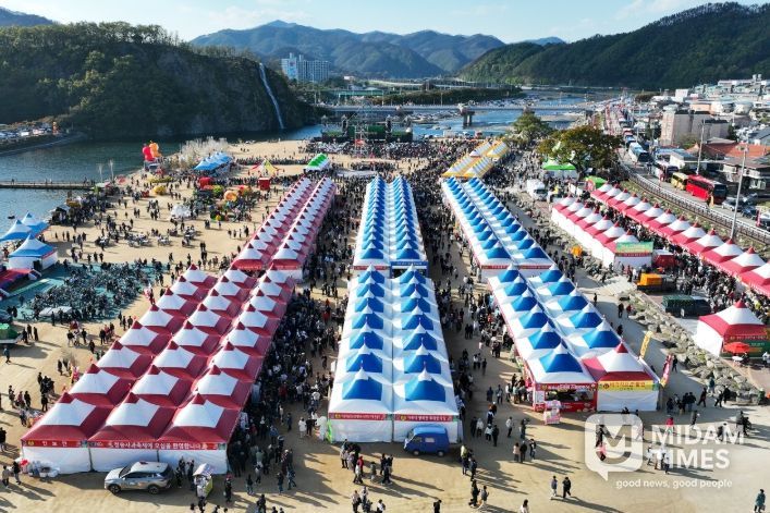 제19회 청송사과축제