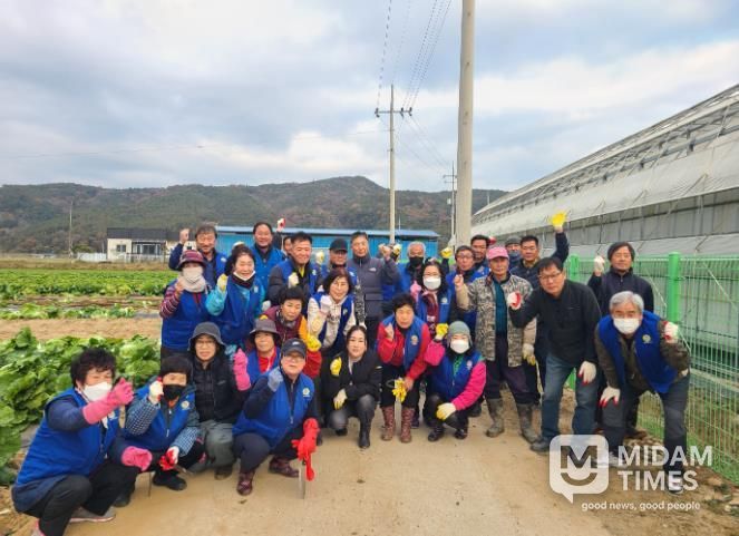 바르게살기운동 합천군협의회, 배추뽑기 봉사활동 실시