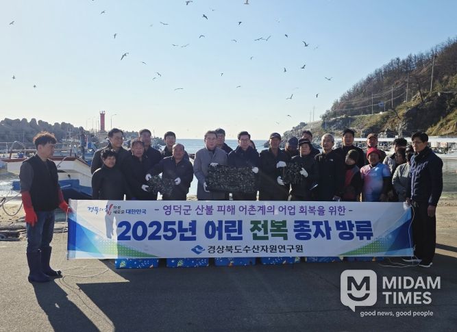 어린 전복 15만 마리 방류