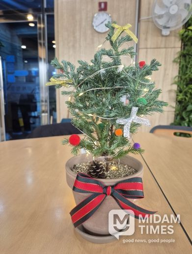 거제식물원, 12월 가드닝데이 '크리스마스 트리 만들기' 운영